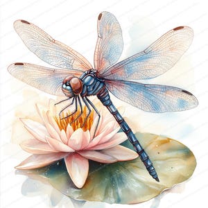 20 transparante vleugels libel clipart | Lily Pad Serenity Art | Afdrukbare aquarel clipart | Hoge kwaliteit JPG's | Papierkunst | dagboek