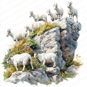 21 Clipart di capre di montagna su una scogliera / Illustrazioni di arte alpina della fauna selvatica / Clipart acquerello stampabile / JPG di alta qualità / Carta artigianale