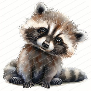 12 Raton laveur mignon | Clipart avec raton laveur | Clipart aquarelle imprimable | JPG de haute qualité | Téléchargement numérique | Créations artisanales en papier | journaux indésirables