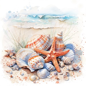 15 zeeschelpen-clipart | Schelpenclipart | Afdrukbare aquarel clipart | Hoge kwaliteit JPG | Digitale download | Papierkunst | junkjournaal