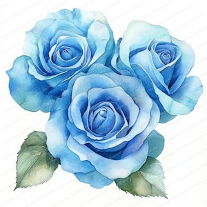 16 Blue Roses Clipart | Roses Bouquet | Printable Watercolor clipart | High Quality JPGs | Digital download | Paper craft | junk journal