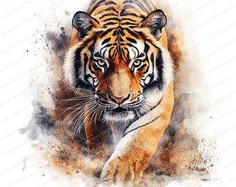 18 水彩画の虎のクリップアート | 印刷可能な虎のイラスト | 高品質