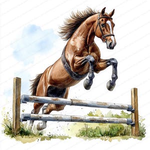 18 Clipart di cavalli che saltano / Arte di barriera equestre / Clipart di acquerelli stampabili / JPG di alta qualità / Artigianato di carta / Diario di spazzatura