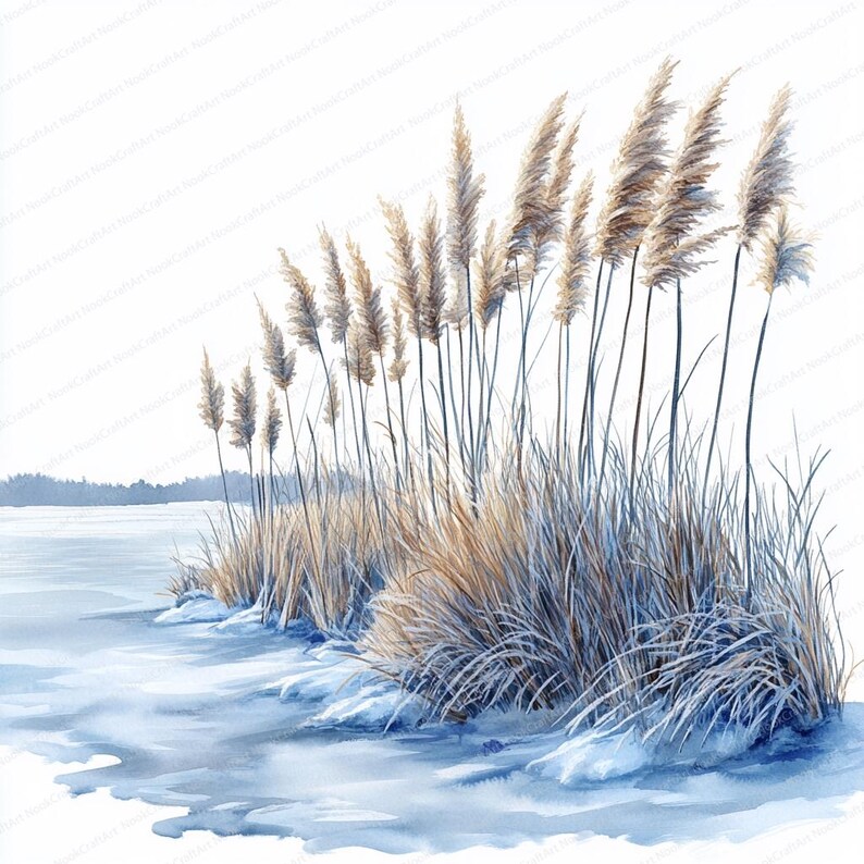 Frozen Reeds 24 Frozen Reeds Clipart | Winter Lakeside Digital Art | Printable ...