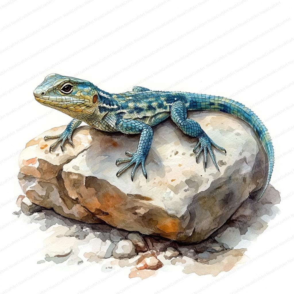 21 Lizard on a Rock Clipart | Nature Reptile Digital Art