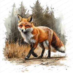 18 Fox Forest Trail-clipart | Illustratie bos dierenvoetafdrukken | Afdrukbare aquarel clipart | Hoge kwaliteit JPG's | Junkjournaal