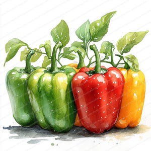 23 Cliparts de Pimentas de Estufa | Pacote de Ilustrações de Vegetais Vibrantes | Clipart de Aquarela para Imprimir | JPGs de Alta Qualidade | Artesanato em Papel