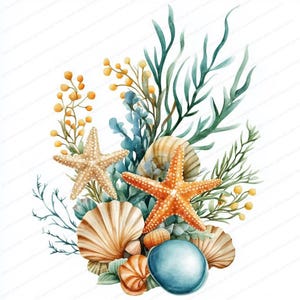 14 Clipart coquillage aquarelle | Clipart plage côtière | Clipart aquarelle imprimable | JPG de haute qualité | Téléchargement numérique | Créations en papier