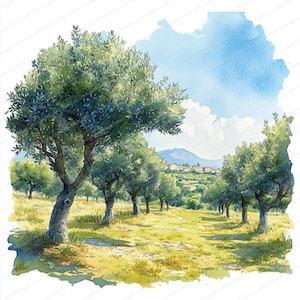 16 Olive Grove Under Blue Sky Clipart | Serene mediterrane landschapskunst | Afdrukbare aquarel clipart | Hoge kwaliteit JPG's | Junkjournaal
