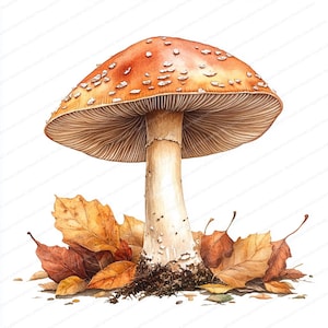 19 Clipart champignon mort | Champignons envoûtants de la nature | Clipart aquarelle imprimable | JPG de haute qualité | Créations artisanales en papier | revue