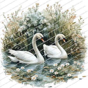 18 lente zwaanvijver clipart | Elegante natuurillustratie | Afdrukbare aquarel clipart | Hoge kwaliteit JPG's | Papierkunst | Junkjournaal
