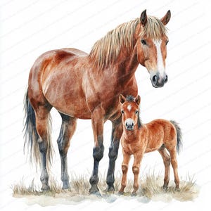 18 Baby Horse Clipart | Horse and Foal | Printable Watercolor clipart | High Quality JPGs | Digital download | Paper craft | Junk journal