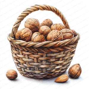23 Nut Basket Clipart | Digital Illustration of Nuts Collection | Printable Watercolor clipart | High Quality JPGs | Paper craft | journal