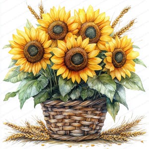 19 Clipart di girasoli in un cesto / Arte digitale floreale rustica / Clipart di acquerelli stampabili / JPG di alta qualità / Carta artigianale / Diario di scarto