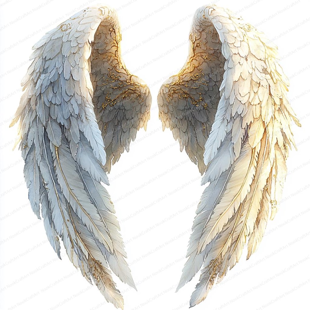 24 Angel Wings Clipart | Heavenly Digital Art Collection