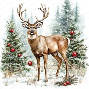 20 Christmas Deer Clipart Bundle | Reindeer Clipart | High Quality Jpgs ...