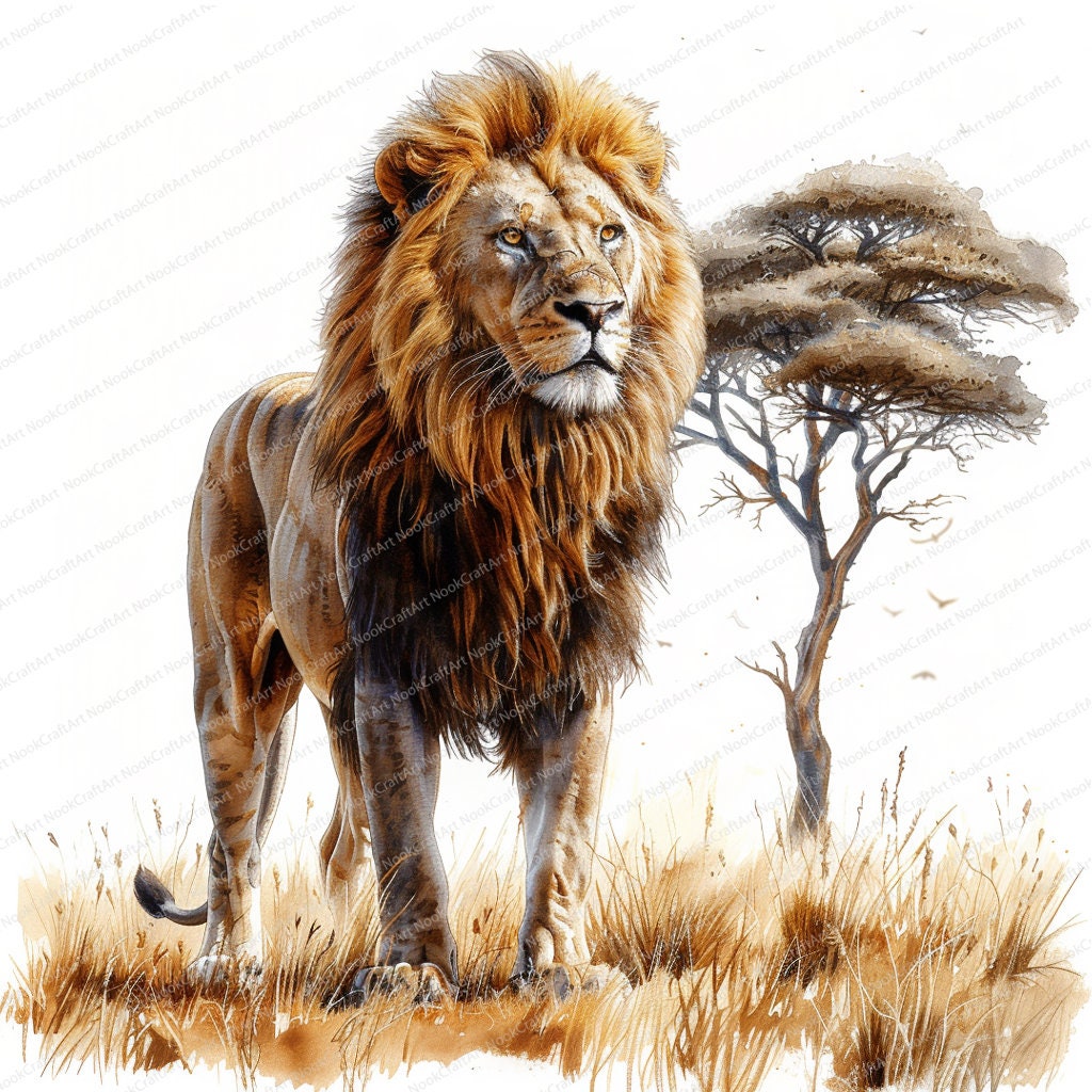 14 Lion Clipart Lion Safari Printable Watercolor Clipart High Quality ...