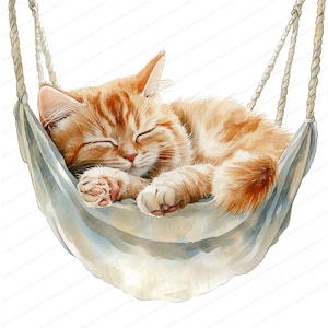 16 Sleeping Cat Clipart | Cat in Hammock | Printable Watercolor Clipart | High Quality JPGs | Digital Download | Paper Craft | Junk Journals