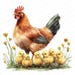 20 Chicken Family Clipart | Mother Hen With Chicks Design | Printable ...
