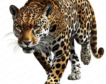 15 Stunning Jaguar Clipart | Jaguar Clipart | Printable Watercolor clipart | High Quality JPGs | Digital download | Paper craft | journal