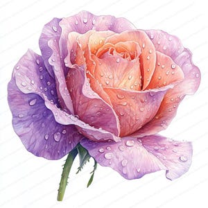 20 Regentropfen auf Blumen Clipart | Die ruhige Schönheit der Natur | Druckbare Aquarell Clipart | Hochwertige JPGs | Papiermodell | Zeitschrift