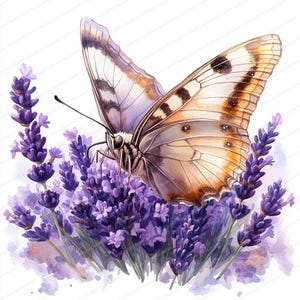 20 Clipart papillon sur lavande | Illustration florale fantaisiste | Clipart aquarelle imprimable | JPG de haute qualité | Journal indésirable