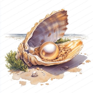 19 Clipart di conchiglie con perle / Illustrazione nautica / Clipart acquerello stampabile / JPG di alta qualità / Carta artigianale / Diario
