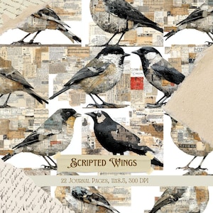 Pode incluir: Uma colagem com ilustrações de pássaros com uma estética vintage. Os pássaros são sobrepostos a um fundo de papel envelhecido e texto. O texto "Scripted Wings" é exibido em uma faixa, com detalhes sobre as páginas do diário.