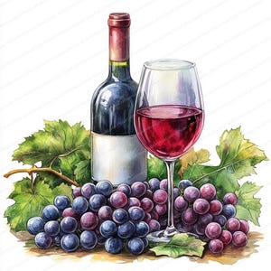 24 Wine Bottle with Grapes Clipart | Elegant Wine-themed Art Design | Printable Watercolor clipart | High Quality JPGs | Paper craft