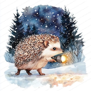 14 Ouriço com Lanterna Clipart | Clipart de Aquarela para Imprimir | JPGs de Alta Qualidade | Download Digital | Artesanato em Papel | Diário de Lixo