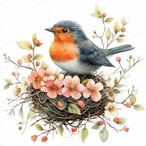 20 Clipart di uccelli con fiori / Decorazione di nidi ispirata alla natura / Clipart di acquerelli stampabili / JPG di alta qualità / Lavoretti di carta / Diario