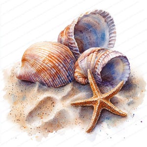 Op de afbeelding: Een aquarel schilderij van schelpen en een zeester op een zandstrand. De schelpen zijn in verschillende kleuren, waaronder bruin, wit en paars. De zeester is oranje en heeft vijf punten.