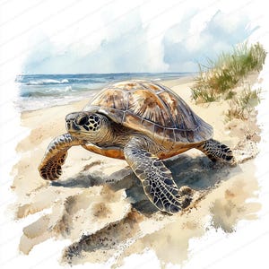 20 Clipart di viaggio sulla spiaggia delle tartarughe marine / Illustrazione artistica della fauna selvatica dell'oceano / Clipart ad acquerello stampabile / JPG di alta qualità / Carta artigianale