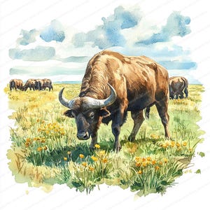 19 Clipart di pascolo estivo di bufali / Illustrazione di fauna selvatica al pascolo in pace / Clipart acquerello stampabile / JPG di alta qualità / Carta artigianale