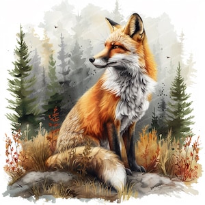 15 immagini di volpe / Clipart acquerello stampabile / Clipart di volpe acquerello / JPG di alta qualità / Alta risoluzione / Lavori di carta