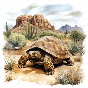 May include: A large desert tortoise with a brown shell and a light brown head is walking on a sandy path in a desert landscape. The tortoise is surrounded by cacti and other desert plants. There are mountains in the background.