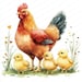 20 Chicken Family Clipart | Mother Hen With Chicks Design | Printable ...
