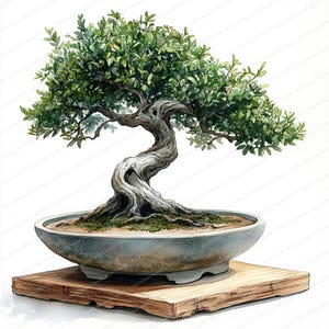 May include: Watercolor painting of a bonsai tree. The tree has a twisted, textured trunk and lush green leaves. It sits in a gray ceramic pot on a wooden base. The artwork is detailed and realistic, with a focus on the tree's form and foliage.