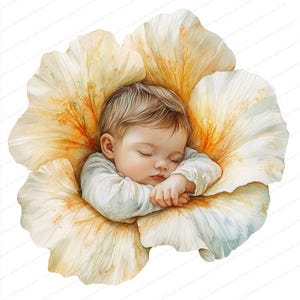 16 Clipart bébé dormant dans une fleur | Illustration florale de rêve pour bébé | Clipart aquarelle imprimable | JPG de haute qualité | Journal indésirable