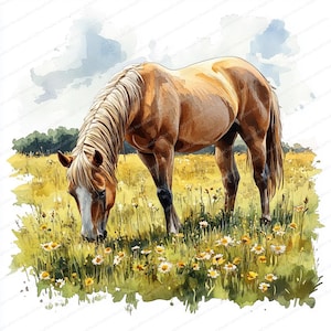 Könnte beinhalten: Aquarellmalerei eines hellbraunen Pferdes, das auf einer Wiese mit Wildblumen grast. Das Pferd hat eine weiße Blesse und eine lange Mähne. Das Feld ist mit gelben und weißen Blumen gefüllt, unter einem sanften blauen Himmel.
