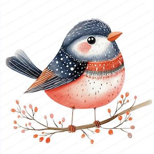 16 Clipart di uccelli di arte popolare scandinava / Arte di uccelli invernali / Clipart stampabili / JPG di alta qualità / Download digitale / Arte murale / Artigianato