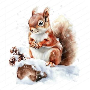20 Clipart mignon d'écureuil en hiver | Illustrations à l'aquarelle | Fichiers JPG de haute qualité | Téléchargement instantané | Créations en papier