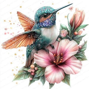 14 kolibrie-clipart | Illustraties aquarel vogel | Afdrukbare aquarel clipart | Hoge kwaliteit JPG's | Digitale download | Papierkunst