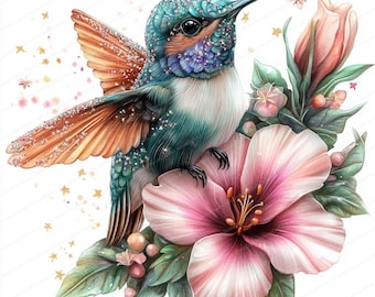 14 Kolibri Clipart | Aquarell Vogel Clip Art | Druckbare Aquarell Clipart | Hochwertige JPGs | Digitaler Download | Papierhandwerk