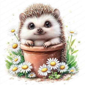 17 Pacote de ouriços florais | Clipart de aquarela para impressão | JPGs de alta qualidade | Download digital | Artesanato em papel | diário de lixo