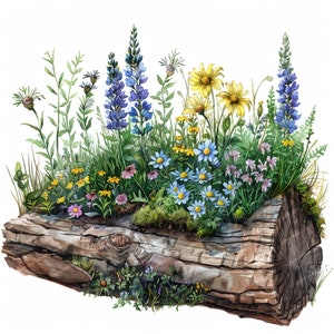 15 Flores em um tronco | Flores de clipart | Clipart de aquarela para impressão | JPGs de alta qualidade | Download digital | Artesanato em papel | diário de lixo
