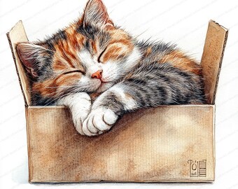 17 箱の中で眠る猫のクリップアート | 心地よい猫のお昼寝のイラスト