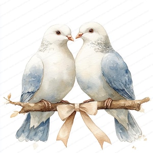 17 Doves With Ribbon Clipart | Elegant Wedding Graphic Design ...