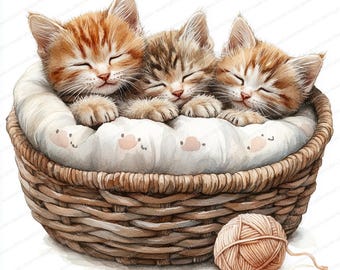 18 猫の家族のクリップアート | かごの中のかわいい子猫のイラスト
