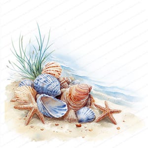14 Coastal Shells Illustrations Clipart | Seashell Clipart | Printable Watercolor clipart | High Quality JPGs | Paper craft